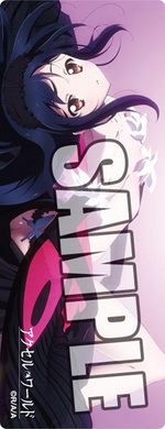 SAMPLE3