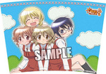 SAMPLE2