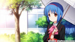 SAMPLE6