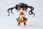 SAMPLE5