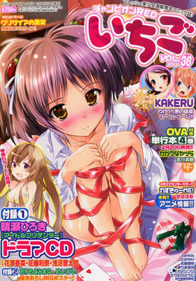ԥRED VOL.36 ԥRED 2013ǯ3إɥץƥ٥ɥCD¾Ͽ 