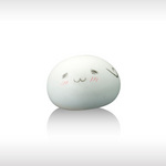SAMPLE3