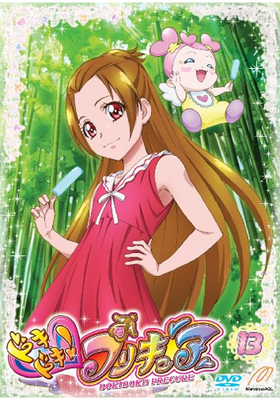 ɥɥץꥭ奢 vol.13 DVD 