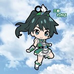 SAMPLE4