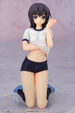 SAMPLE1