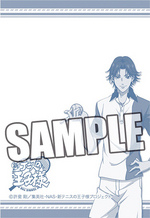 SAMPLE4