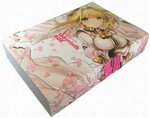 SAMPLE1