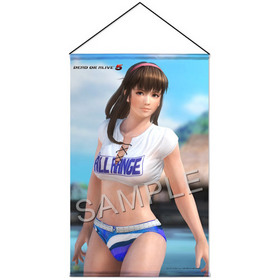 DEAD OR ALIVE 5 B2タペストリー ヒトミ 