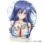 SAMPLE3