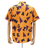SAMPLE1