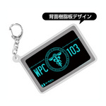 SAMPLE1