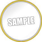 SAMPLE1