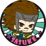 SAMPLE4