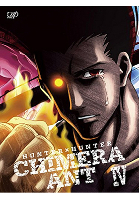 HUNTERHUNTER 饢 DVD-BOX Vol.4 