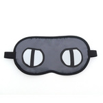 SAMPLE1