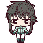 SAMPLE4