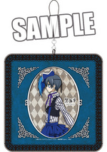 SAMPLE1