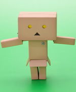 SAMPLE1