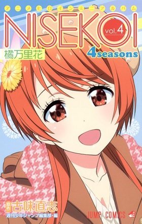 ˥ҥߥ˥Х ˥ 4seasons vol.4 Τ ץߥå
