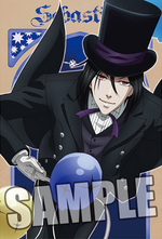SAMPLE3
