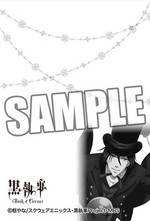SAMPLE4