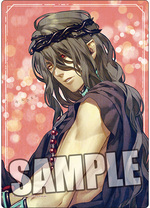 SAMPLE1