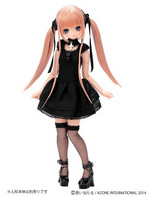 SAMPLE1