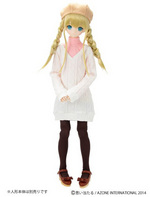 SAMPLE1