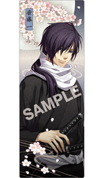 SAMPLE1