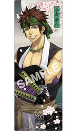 SAMPLE4
