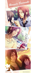 SAMPLE11