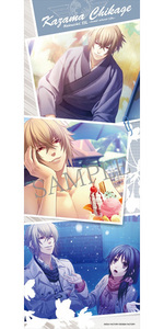 SAMPLE12