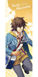 SAMPLE4