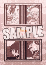 SAMPLE4