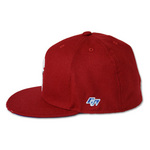 SAMPLE1