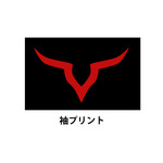 SAMPLE2