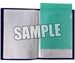 SAMPLE2