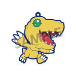 SAMPLE1