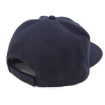 SAMPLE1