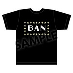 SAMPLE1