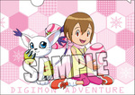 SAMPLE2