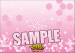 SAMPLE3