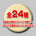 SAMPLE4