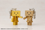 SAMPLE1