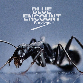 ưΥ ŴΥե OPơޡSurvivor[DVDս]BLUE ENCOUNT 