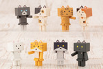 SAMPLE1