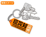 SAMPLE2