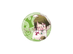 SAMPLE2