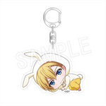 SAMPLE6