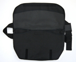 SAMPLE1